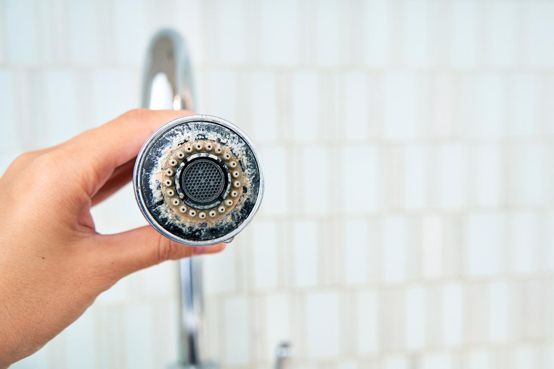 A woman is holding a chrome faucet covered with lime scale.